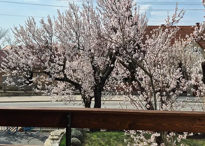 Appartement Bike & Chill